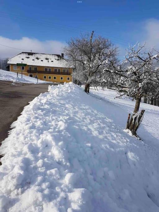Ferienhof Am Landsberg Obergrünburg Εξωτερικό φωτογραφία